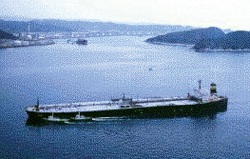 �P�����ꂽ�u���R�v�i���{�X�D�񋟁j