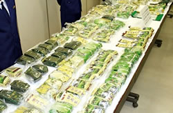 ���������o������