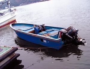 ���^���ڒ�