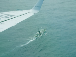 �����D�E�q��@�ɂ��s���s���҂̑{��