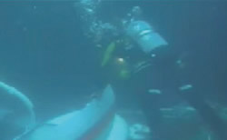 �����{����������m