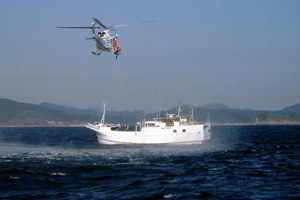 �w���R�v�^�[����̍~��