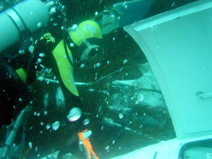 �D�̂𒲍���������m