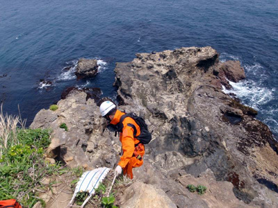 �P���̗l�q