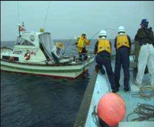 �C����S�w�����Ƃ̍����p�g���[��