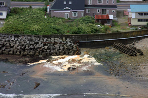 �C�ɗ��ꍞ�މ���