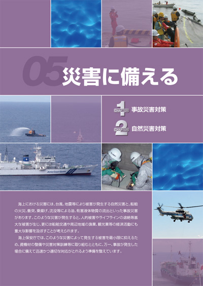 �ЊQ�ɔ�����