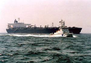 �D����ʂ̈��S