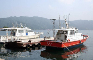 ���^�D�����K