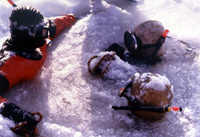 �~���̍őO��