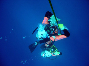 �~���̍őO��