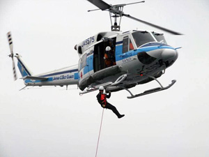 �z�C�X�g�~��