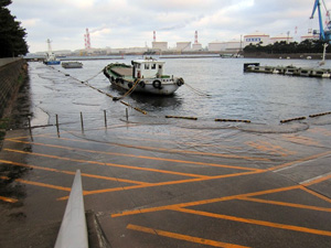 �Ôg�ɂ�鉈�ݕ��̐Z��(2)