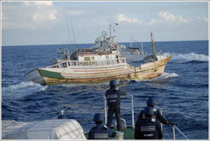 ��@���ƊO�����D��ߑ����鏄���D