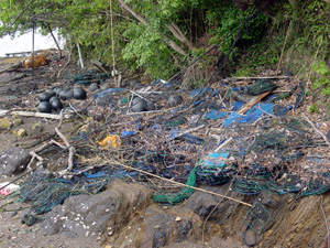 �s�@�������ꂽ����