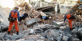 ���ۋً}�������i�C���h�l�V�A�E���X�}�g���B�p�_�����n�k�j