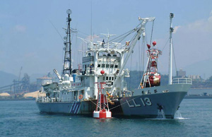 LL�^�i�ݕW�D�j�u���񂪁v