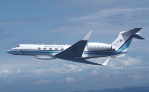 �K���tV�u���݂킵�v