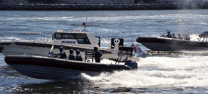 �e���΍�P���̗l�q