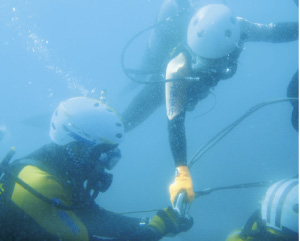 �����m�ɂ��P��