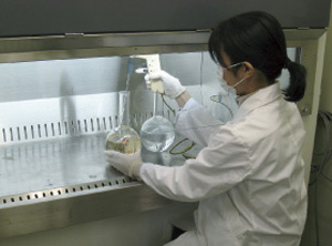 スケレトネマ・コスタツムの培養