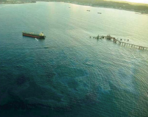 �^���J�[����̖��r�o����