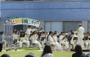 2011�C�ۃt�F�Ain����