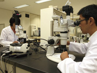 �C��ۈ����������Z���^�[�E��