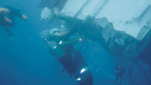 �����m�Ƃ��Ċ���