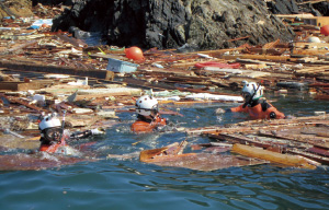 �C��ۈ����̖����ƑΉ��̐�2