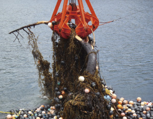 �Y�����̏󋵁i����23�N5��5���A��茧�R�c�p���ӊC��j