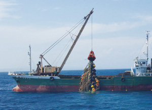 �y�����𓋍ڂ����^���J�[�̓��`���x�����鏄�����i����23�N3��21���A��䉖�ۍ`�j