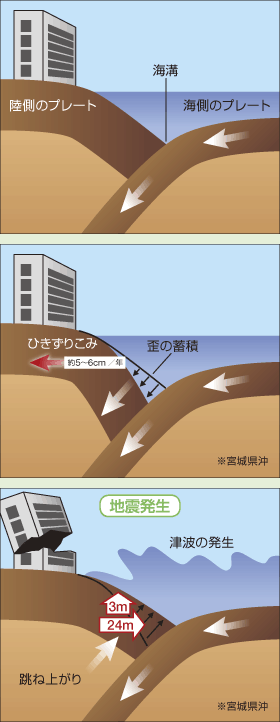 プレート境界地震の発生メカニズム