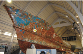 �����قɓW������Ă���H��D