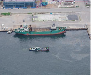 �����o���̗̂l�q