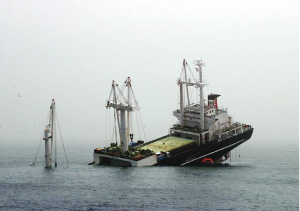 �D���C��̏�