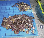 �������ꂽ�����