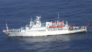 �����������̊O���C�m�����D