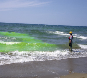 �V�[�}�[�J�[�E�u�C���g�p�������ݗ�����