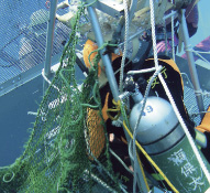 �������C