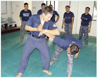 �t�B���s���C��ۈ��@�ւɑ΂��鐧���p�w��