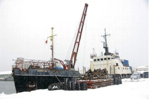 �o���ܖ��A���Ɋ֗^�����D��