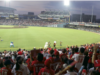 広島カープ対中日ドラゴンズ戦