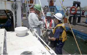 �K�D�w���̗l�q