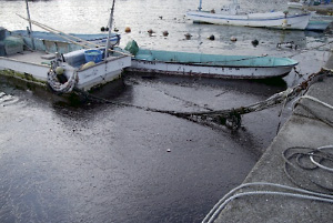 �Y���������̗l�q