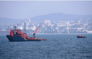 ��5�񍇓����h���P���̗l�q(1)