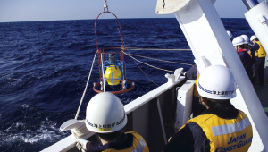 �C��Ǔ����̗l�q