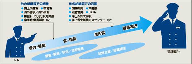 総合職のキャリアパス