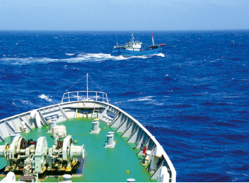 �����T���S���D��ǔ����鏄���D