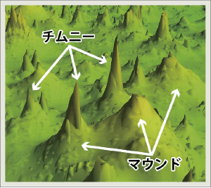 �`���j�[�ƃ}�E���h